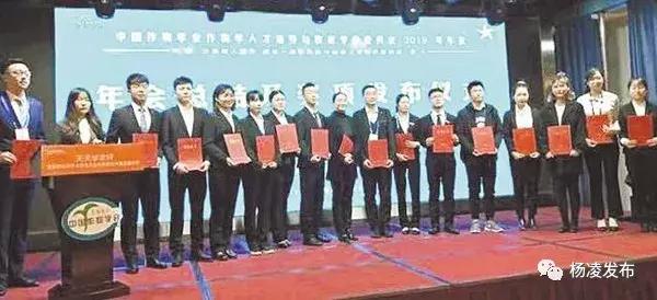 解析与落实,关于2025年天天彩免费资料的政策释义与实施策