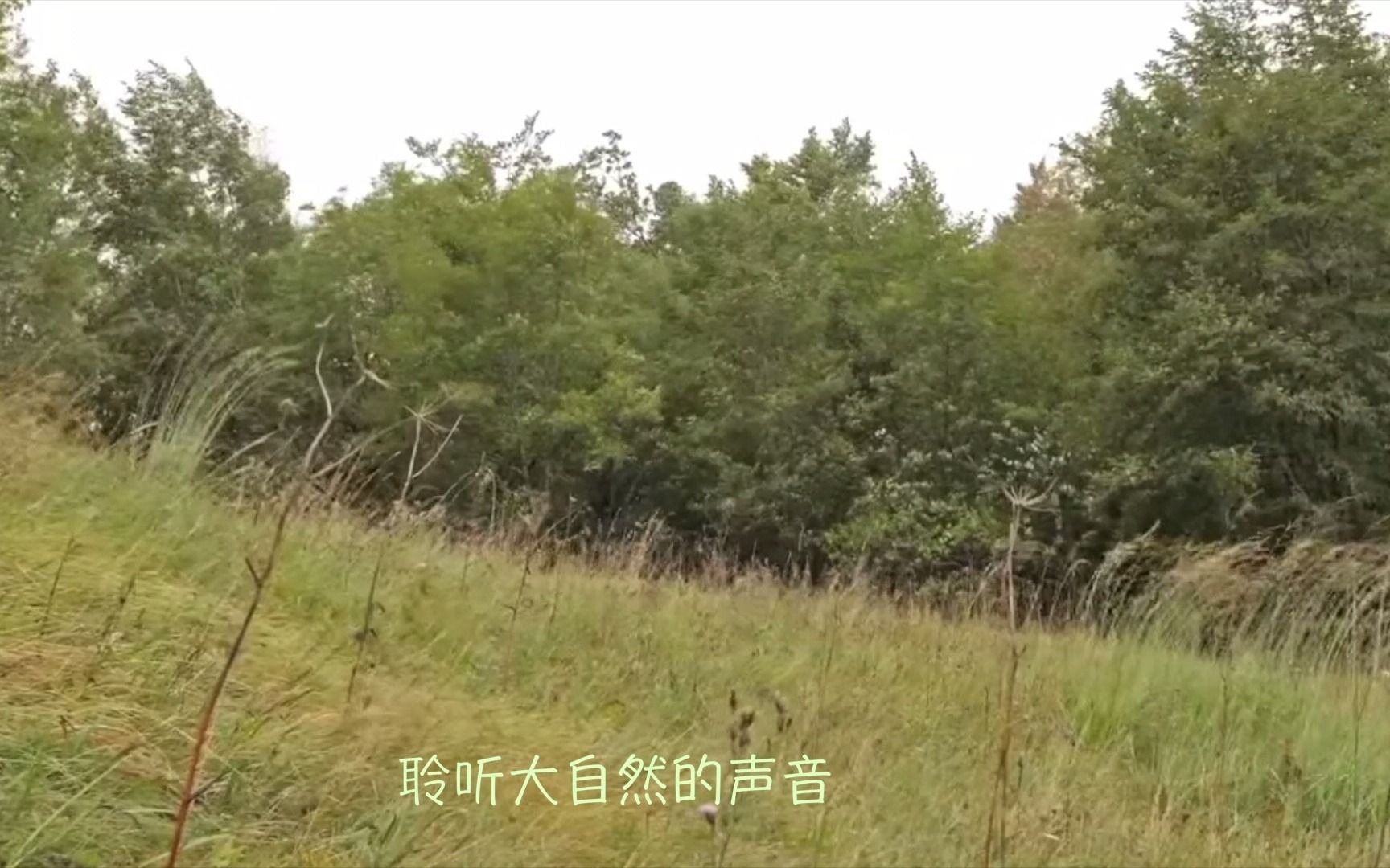 新闻 第922页
