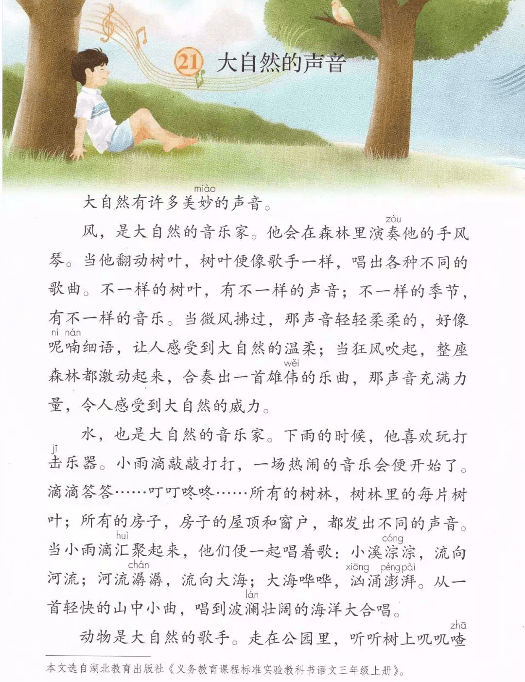 三中三必中一组澳门—聆听大自然的声音,感受生命的律动