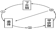管家婆一码一肖100中奖v3.3.2(中国)官方版-APP下载IOS