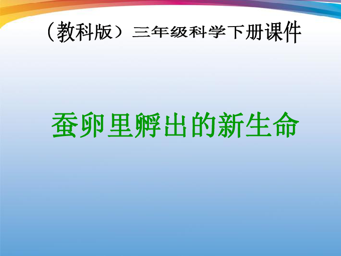 新闻 第301页