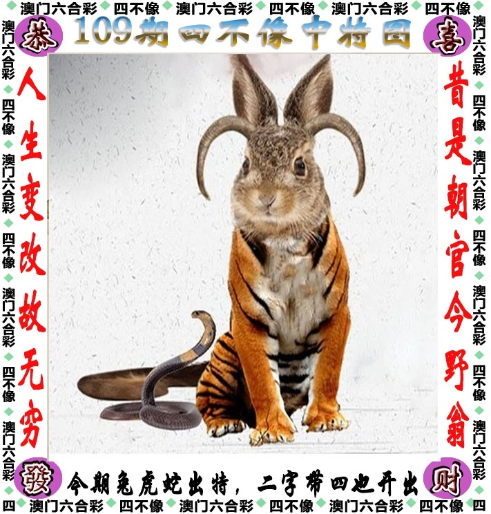 新闻 第248页